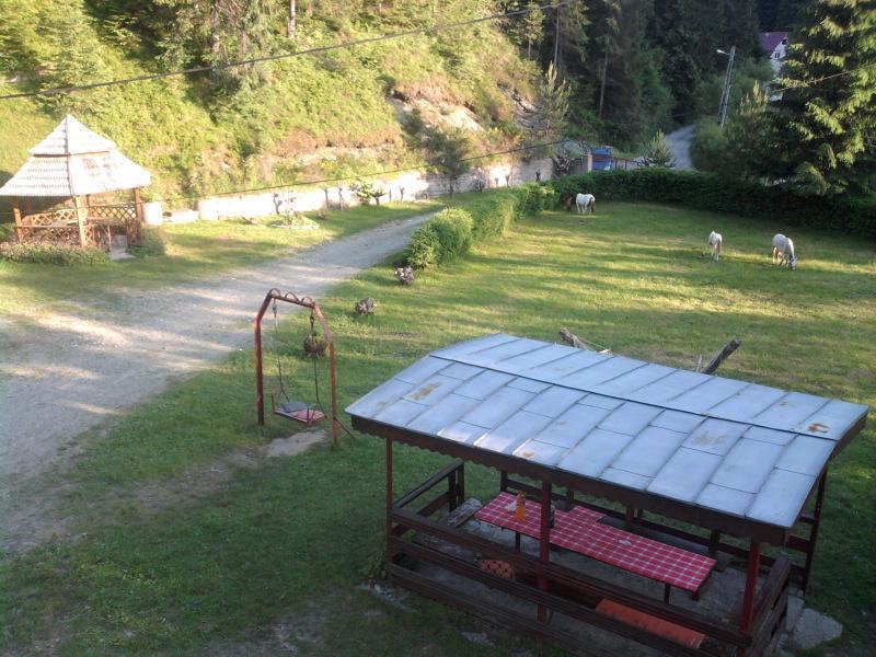 Pensiunea Sofy Arieşeni Exterior foto